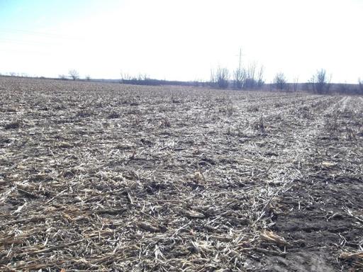 0 Rock Island Road Dixon, IL 61021 - Photo 3 of 3