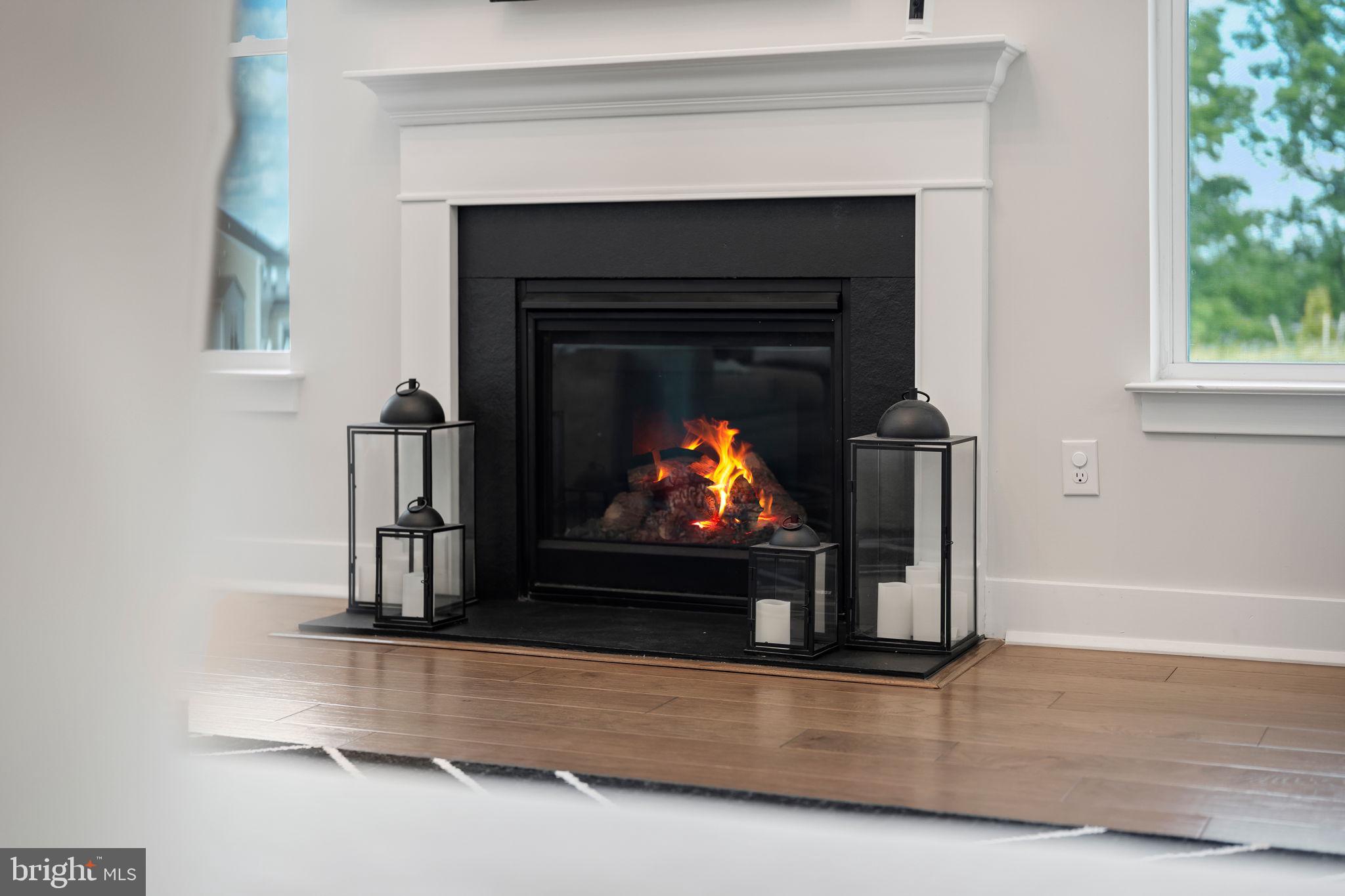 130 Violet Way Spring City, PA 19475 - Photo 15 of 62 Gas Fireplace