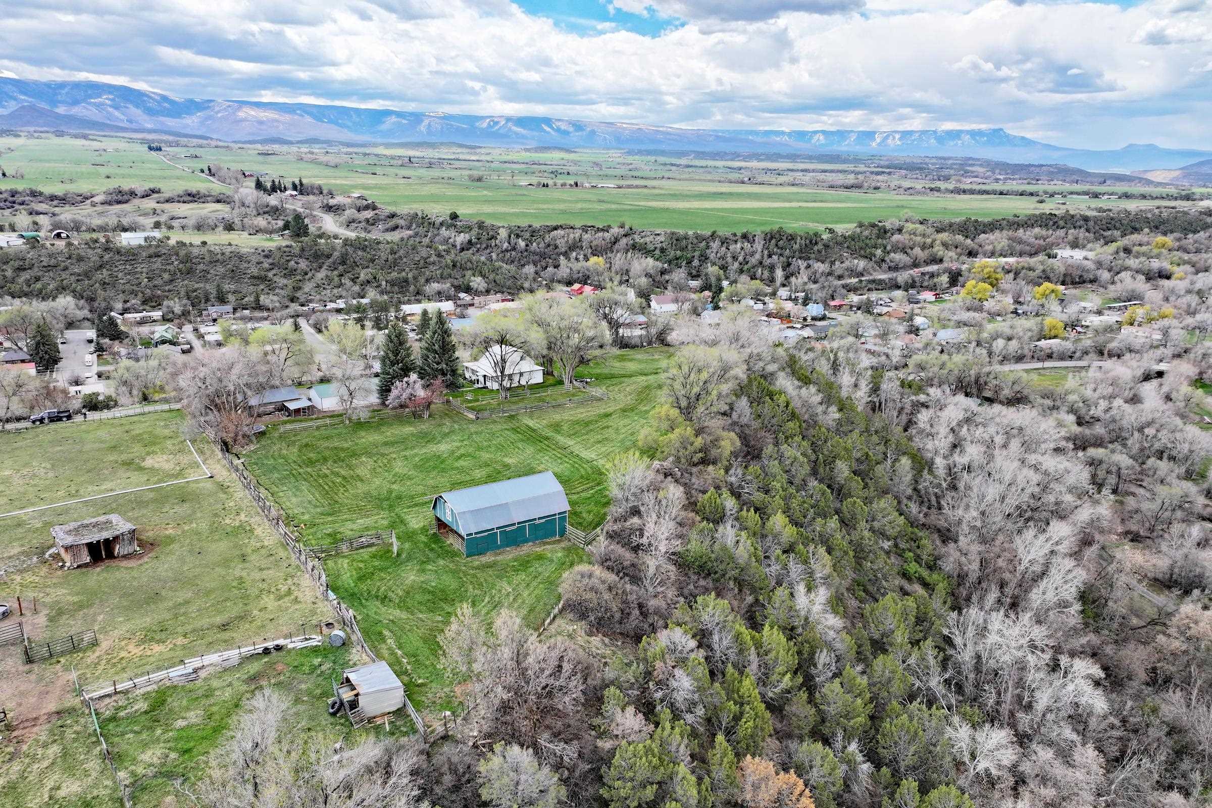 58590 Pe 3/10 Road Collbran, CO 81624 - Photo 31 of 41