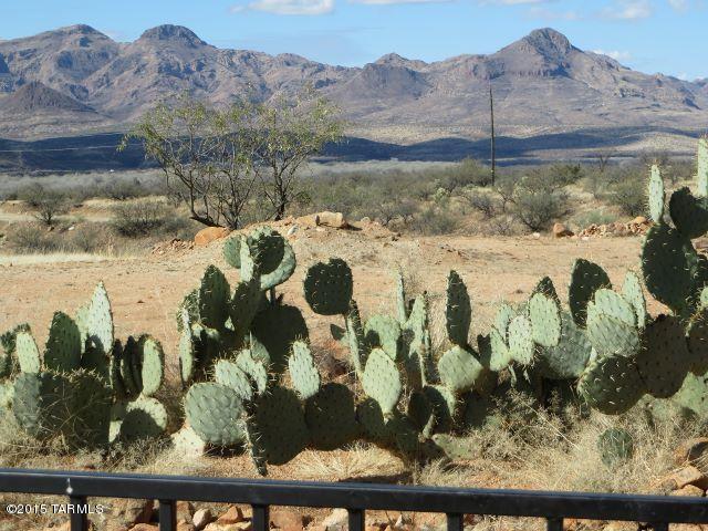 1612 Bufeo Court Rio Rico, AZ 85648 - Photo 28 of 43
