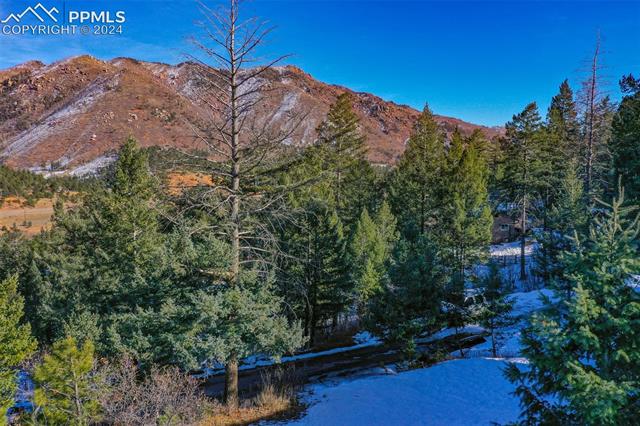 Shoshone Road Cascade, CO 80809 - Photo 3 of 25