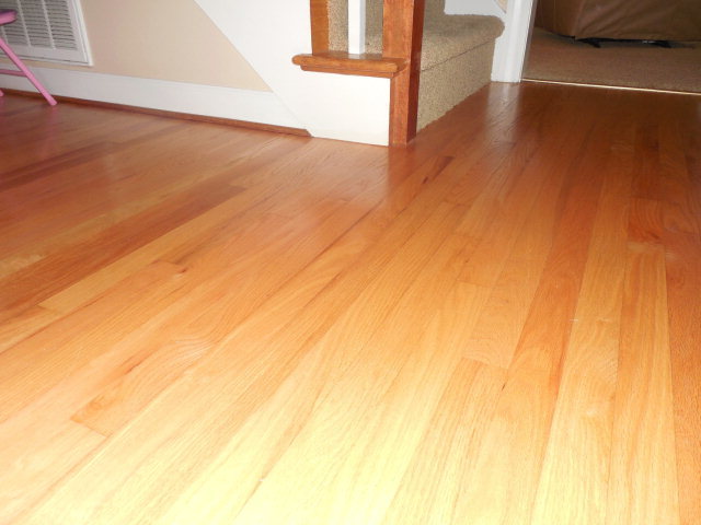 203 North Dimock Road Washington, NC 27889 - Photo 10 of 29 Additional Photo