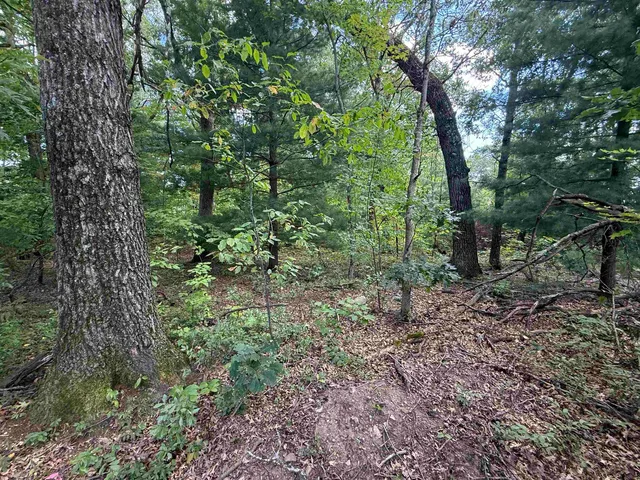 $74,900 | 364 Lake Shore Drive, Wisconsin Dells, WI 53965