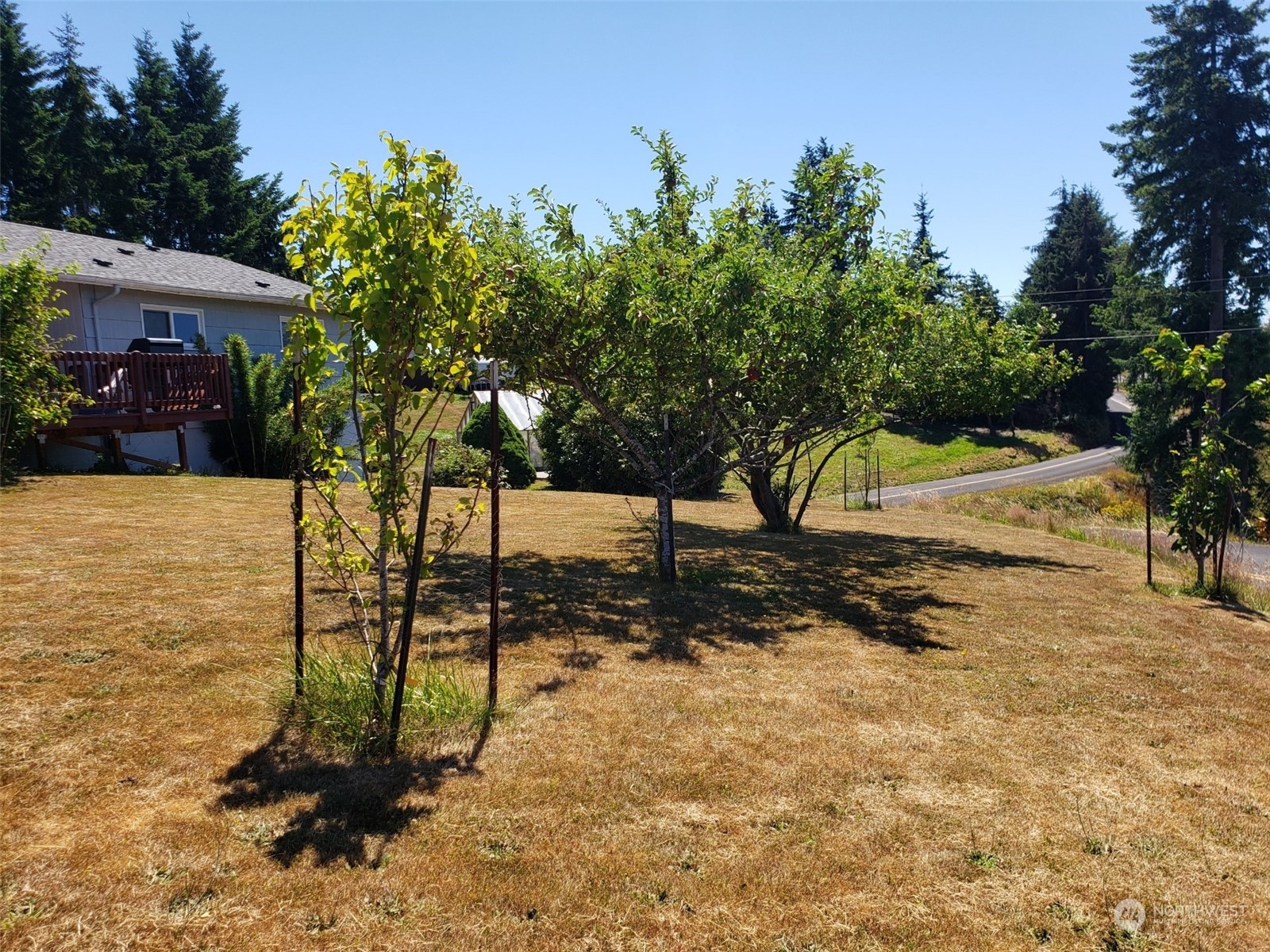 480 Williams Finney Road Kelso, WA 98626 - Photo 29 of 38 Gallery Image 29