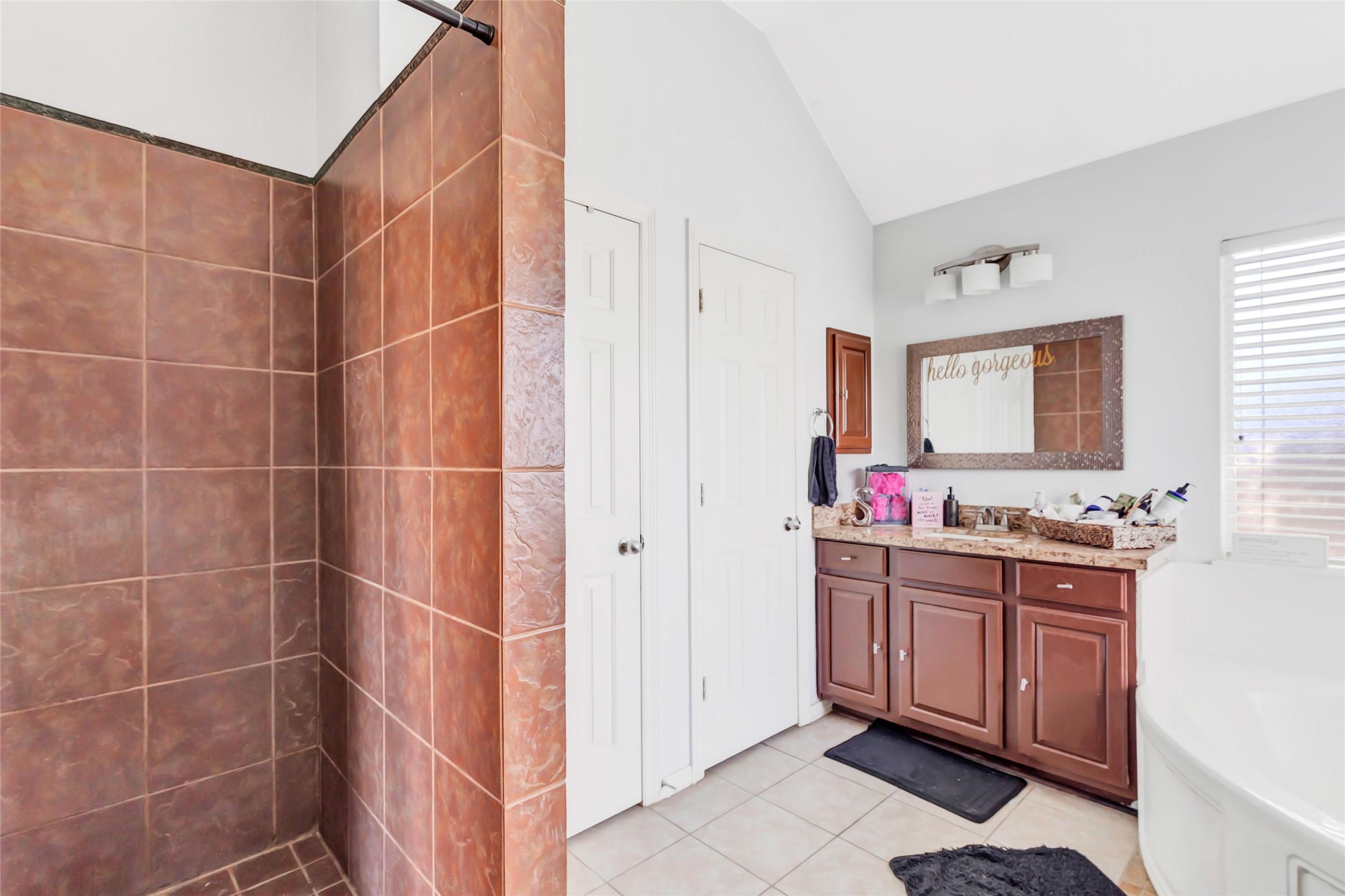14415 Red Mulberry Lane Houston, TX 77044 - Photo 19 of 26 a bathroom with a double vanity sink toilet and mirror