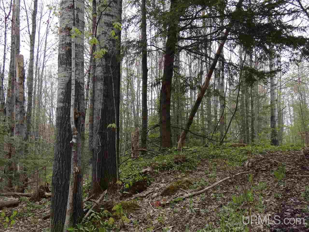 37296 Beck Road Ontonagon, MI 49953 - Photo 17 of 26 Gallery Image 17