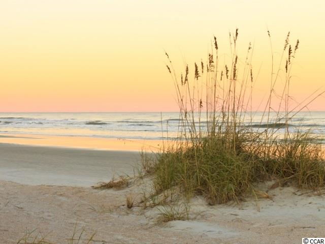 208 Landing Road, Unit 208F North Myrtle Beach, SC 29582 - Photo 17 of 22 Gallery Image 17