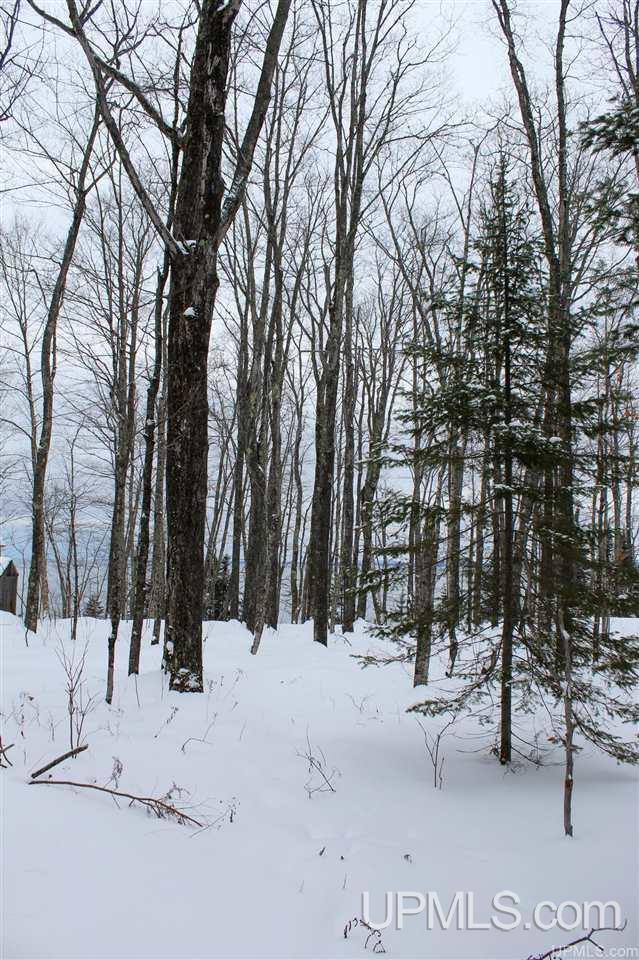 Tbd Des Rochers Road, Unit LOT 19 Pelkie, MI 49958 - Photo 8 of 33