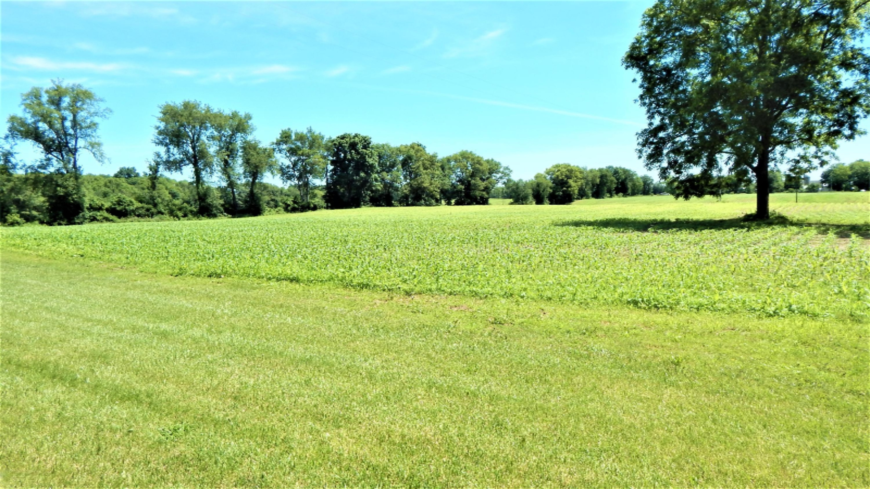 15320 Elm Row Road Albion, MI 49224 - Photo 2 of 18 DSCN4484