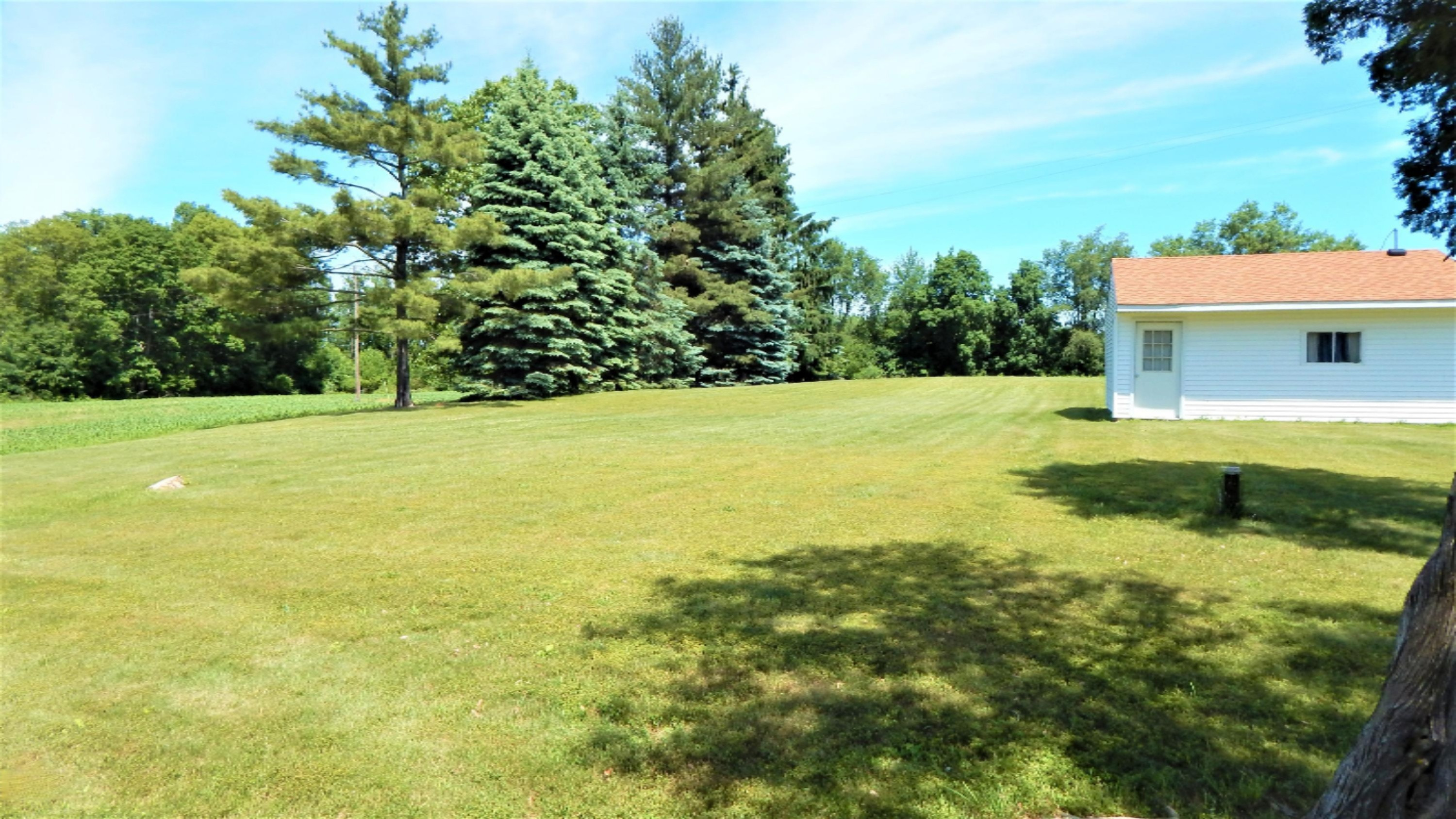 15320 Elm Row Road Albion, MI 49224 - Photo 5 of 18 DSCN4488