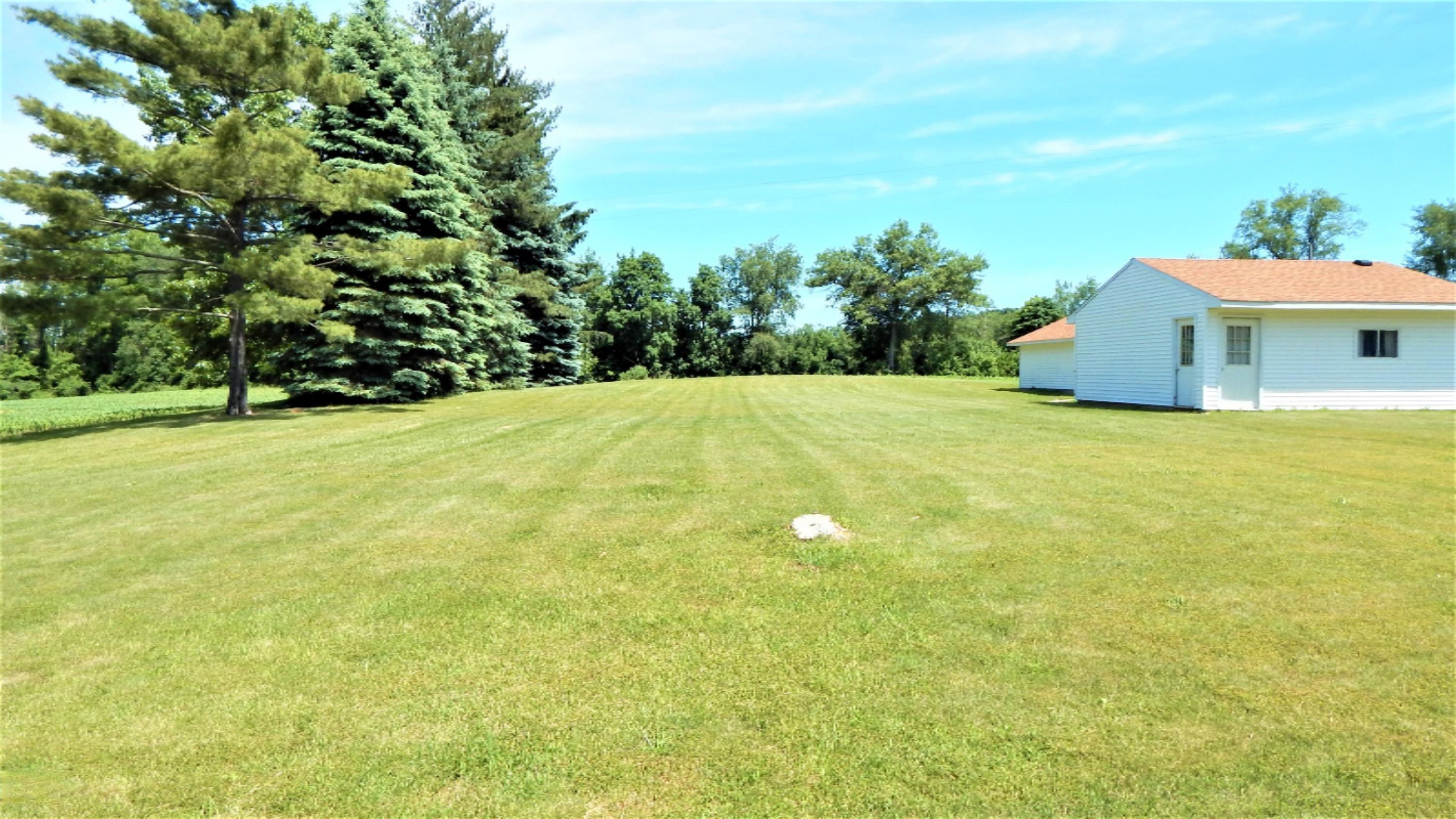 15320 Elm Row Road Albion, MI 49224 - Photo 6 of 18 DSCN4490
