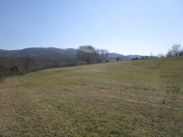 Parrott Lane Rutledge, TN 37861 - Photo 3 of 3 IMG_2830