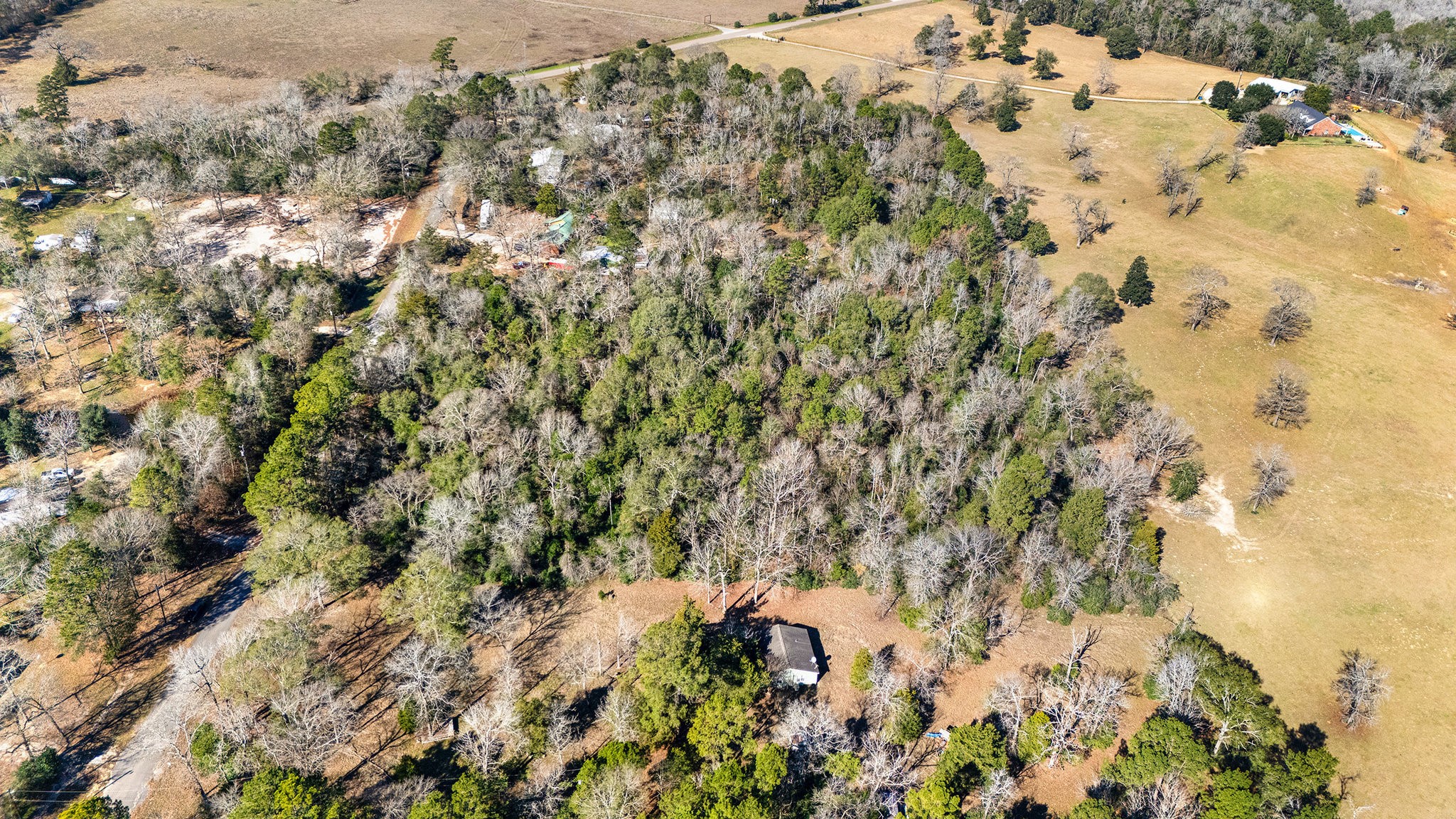 15685 McKay Road Willis, TX 77378 - Photo 15 of 21