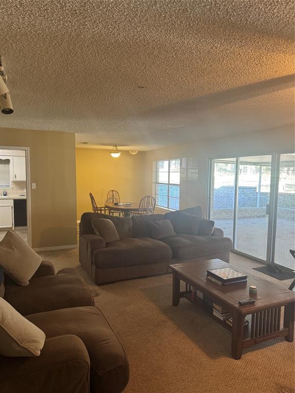 393 VZ County Road, Unit 4125 Ben Wheeler, TX 75754 - Photo 21 of 23 a living room with furniture and a large window