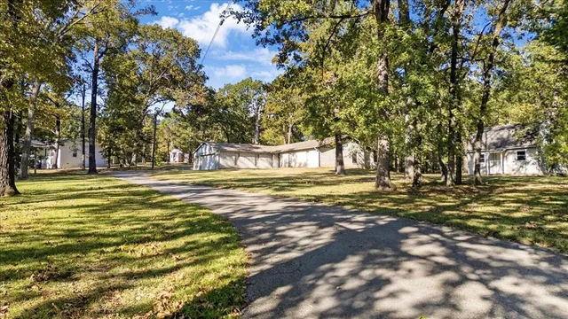 a view of the trees with yard
