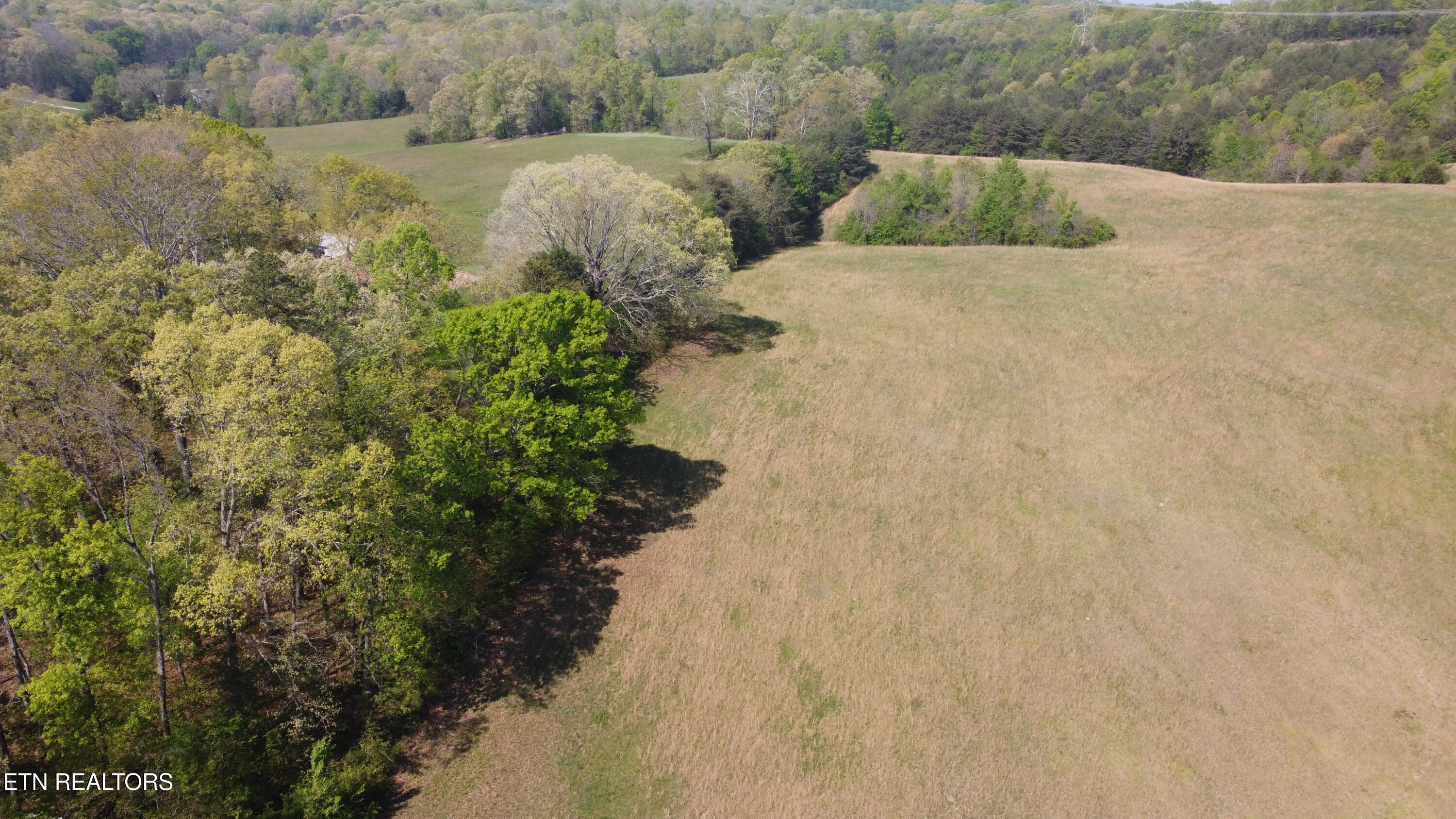 Mans Hollow Road Kingston, TN 37763 - Photo 2 of 10 4-1