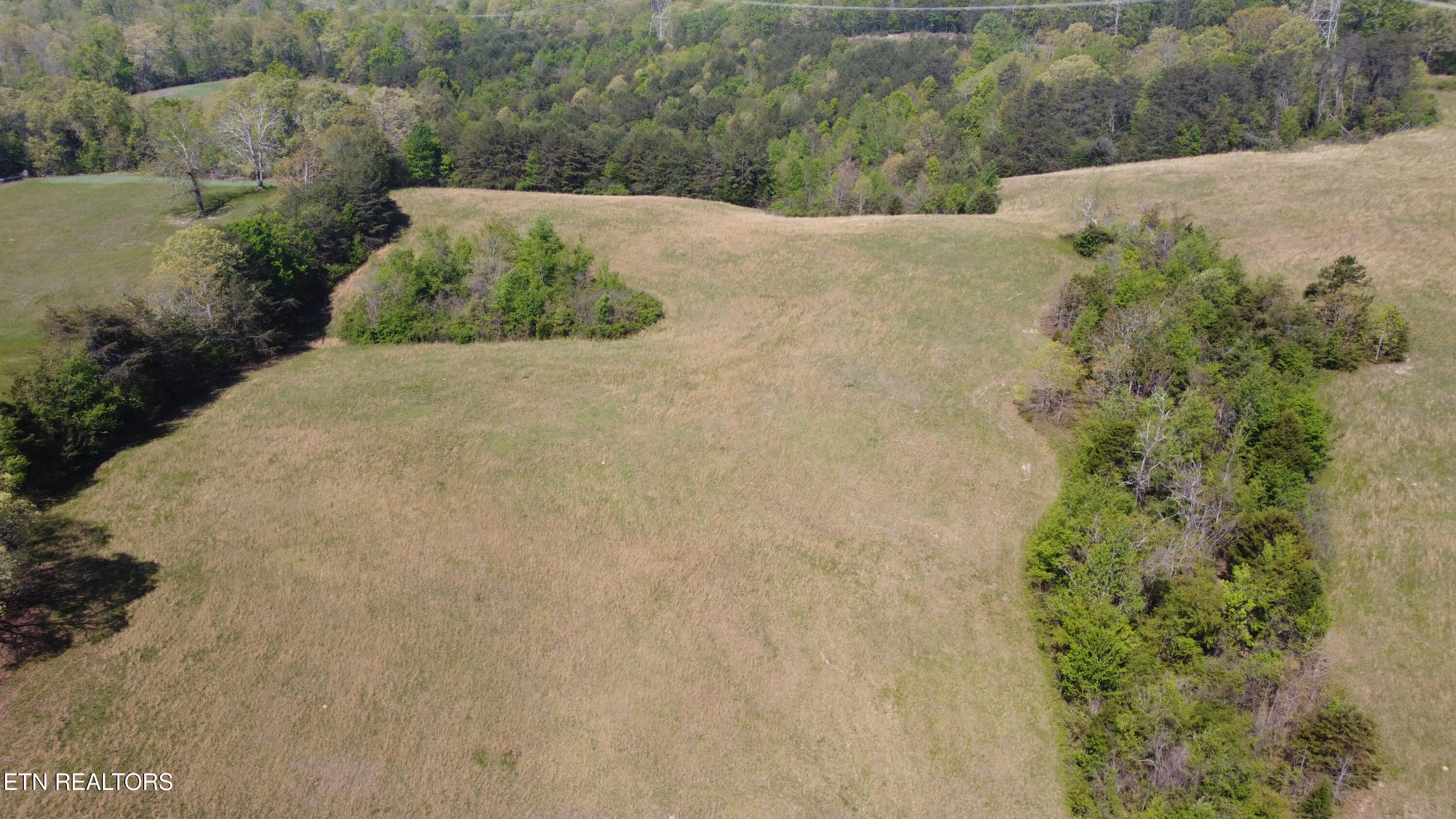 Mans Hollow Road Kingston, TN 37763 - Photo 3 of 10 4-2
