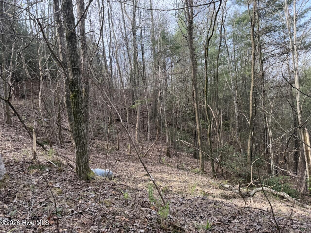 0 Ogreeta Road Murphy, NC 28906 - Photo 9 of 47