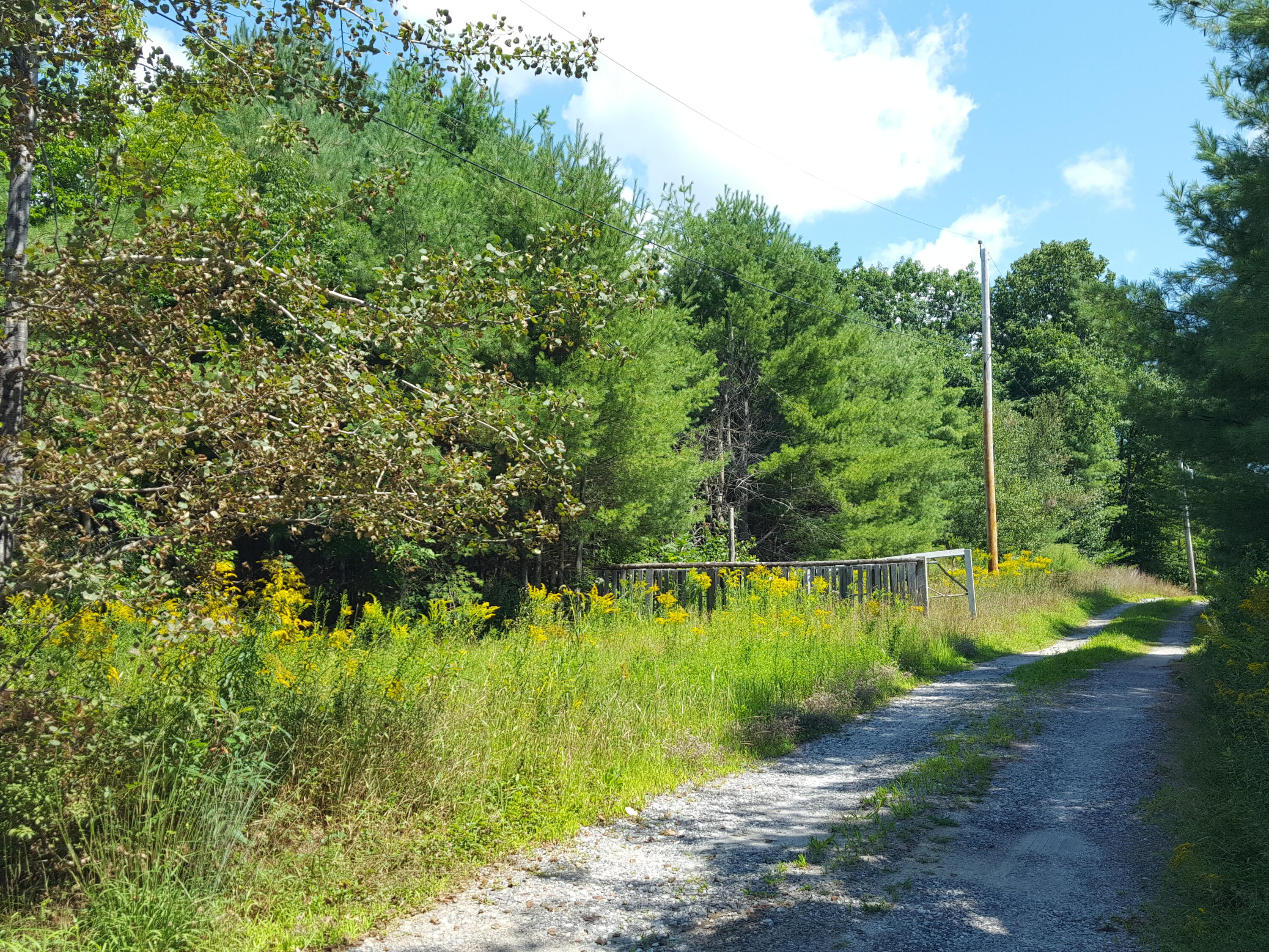 Lot#10 Harrison Road Naples, ME 04055 - Photo 3 of 13 20240807_120841