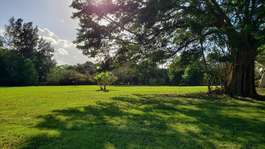 17127 Thunder Road Jupiter, FL 33478 - Photo 2 of 8 Front lawn, Eastern exposure