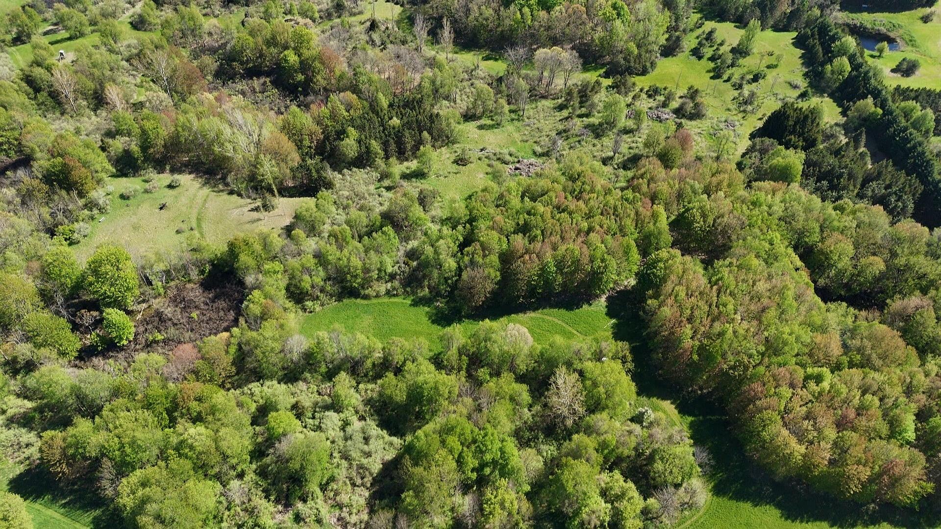 2665 East Wilson Road Custer, MI 49405 - Photo 8 of 19 Aerial