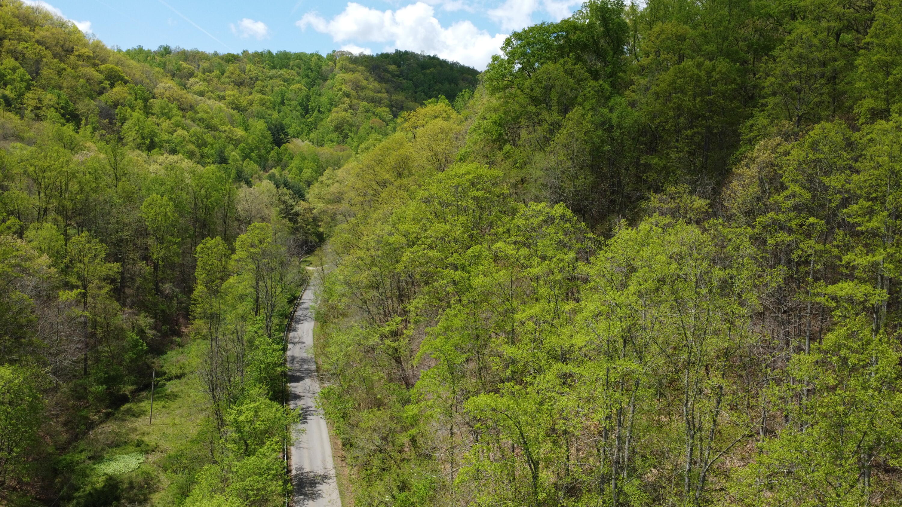 0 Georges Run Road Shawsville, VA 24162 - Photo 1 of 20 DJI_0824