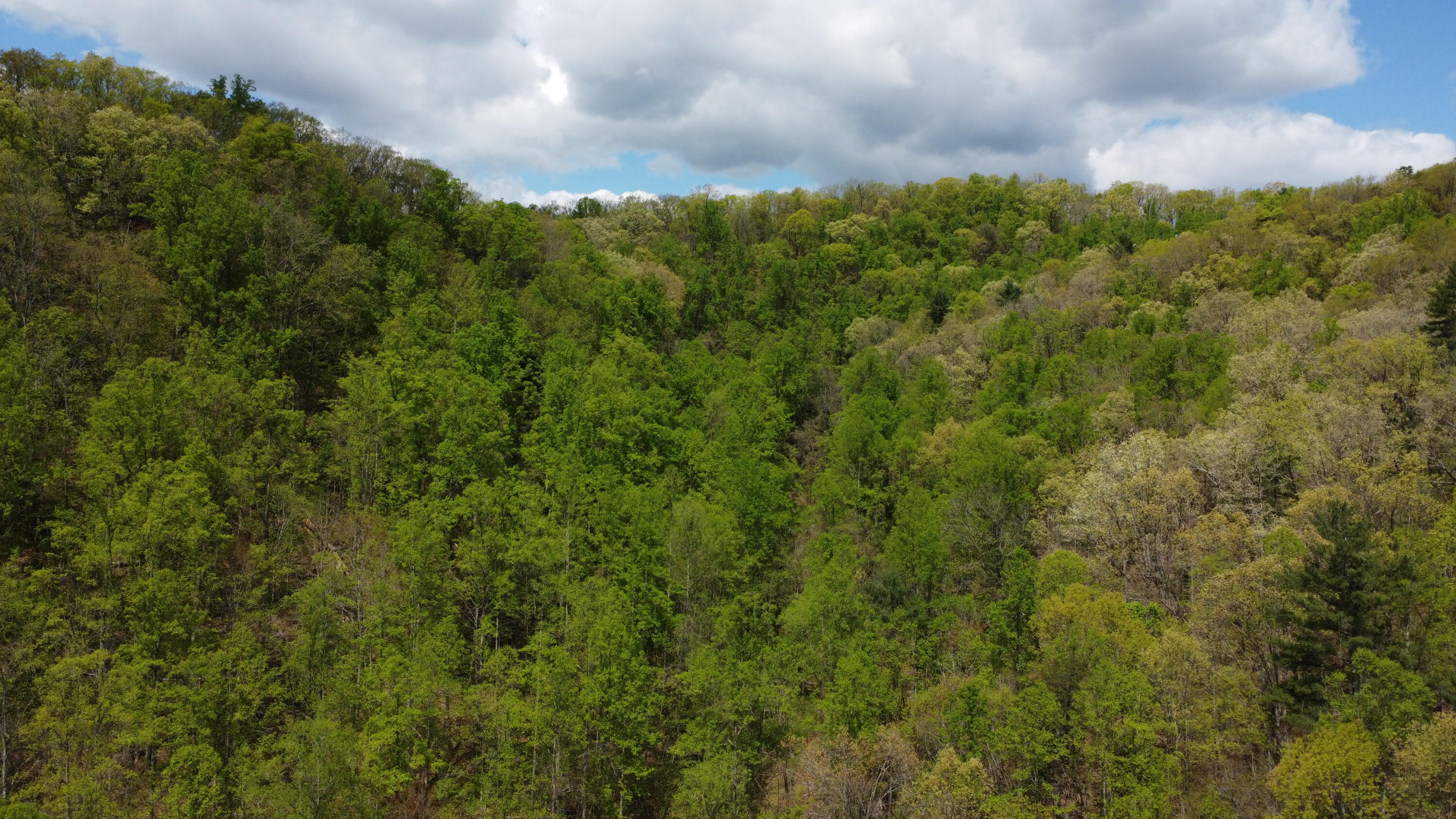 0 Georges Run Road Shawsville, VA 24162 - Photo 12 of 20 DJI_0812