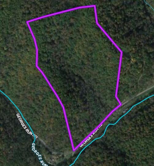 0 Georges Run Road Shawsville, VA 24162 - Photo 16 of 20 Map - Snip