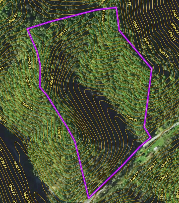 0 Georges Run Road Shawsville, VA 24162 - Photo 18 of 20 Map - Summer Aerial w Contours