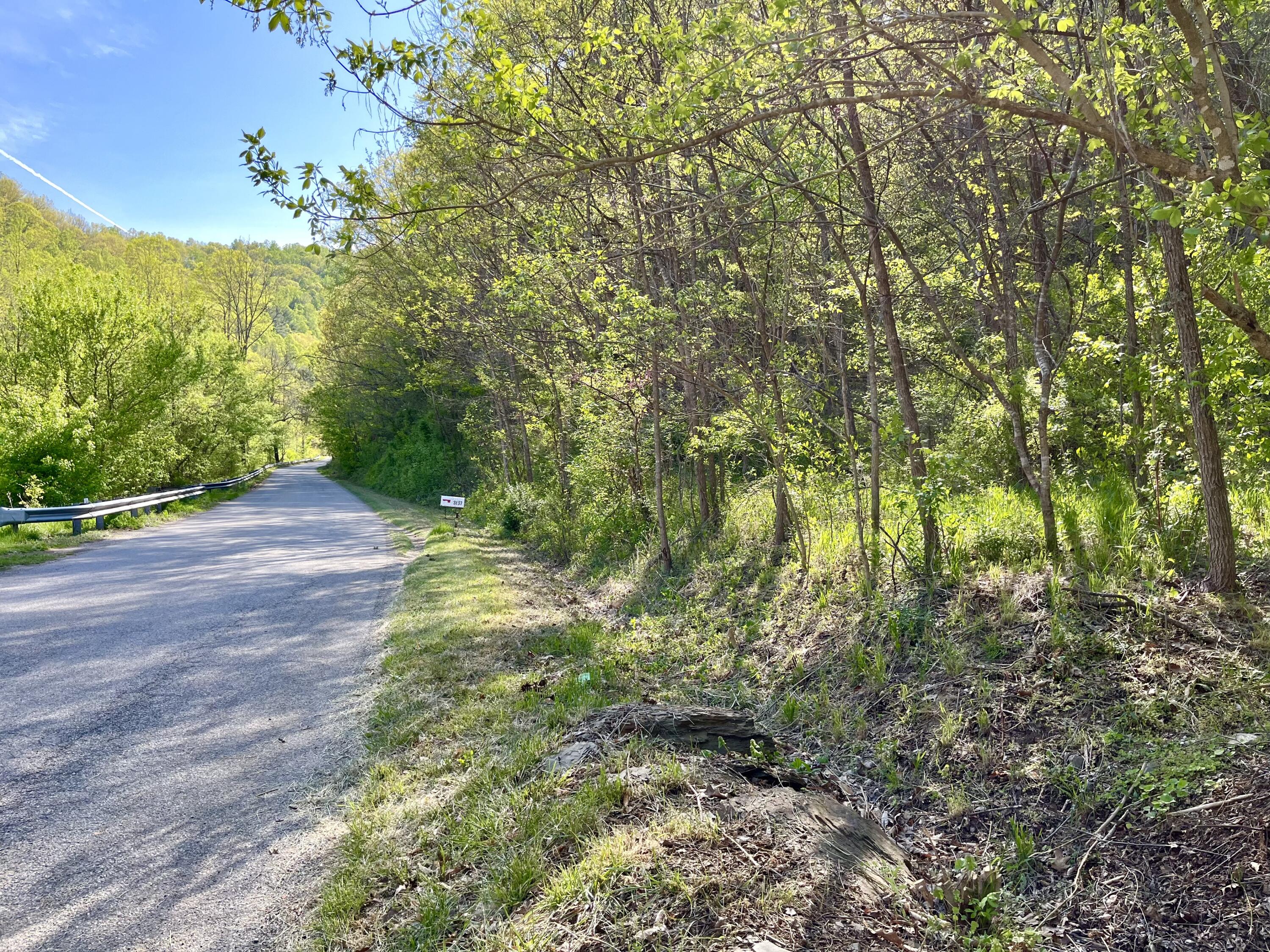 0 Georges Run Road Shawsville, VA 24162 - Photo 2 of 20 IMG_6331