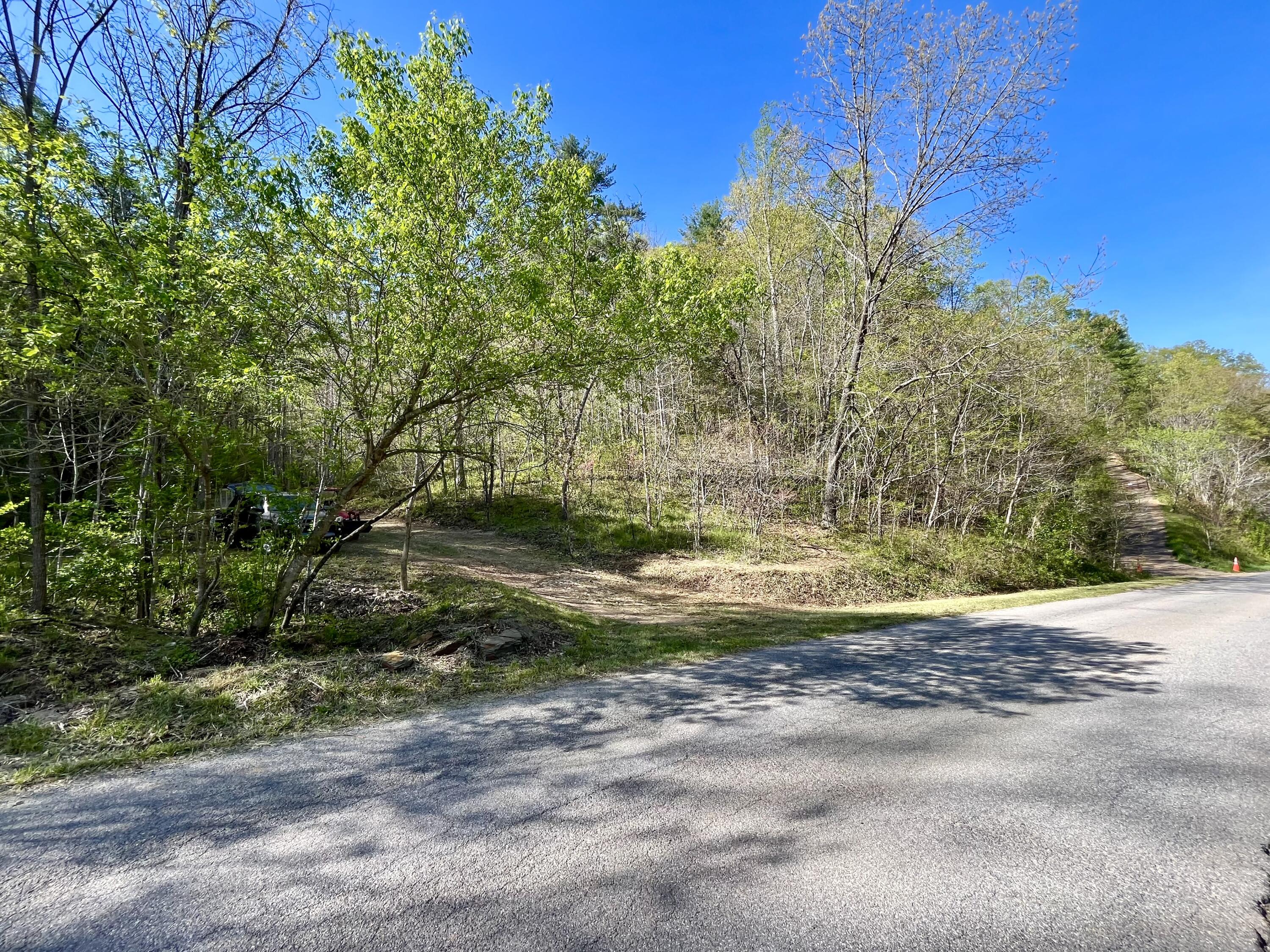 0 Georges Run Road Shawsville, VA 24162 - Photo 3 of 20 IMG_6329