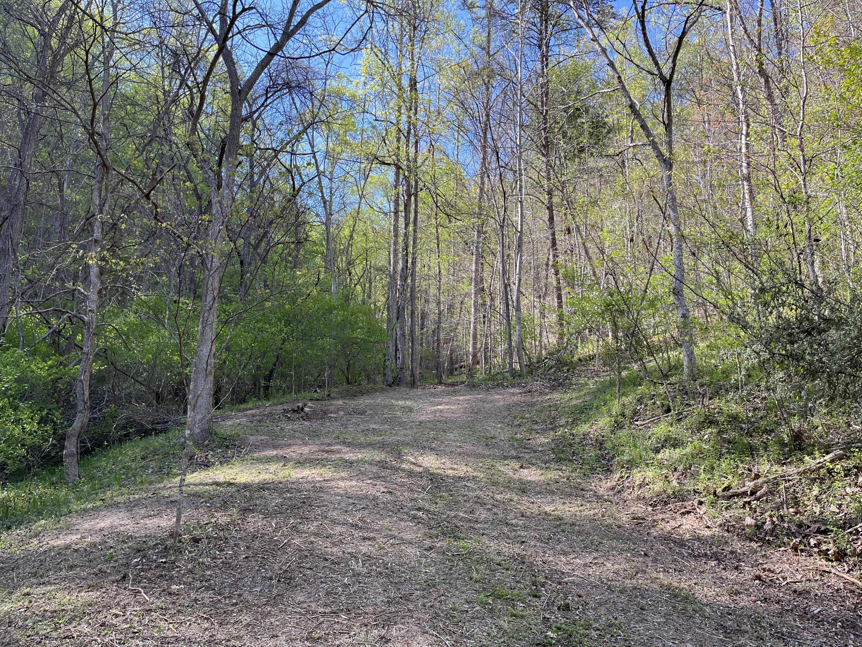 0 Georges Run Road Shawsville, VA 24162 - Photo 6 of 20 IMG_6336