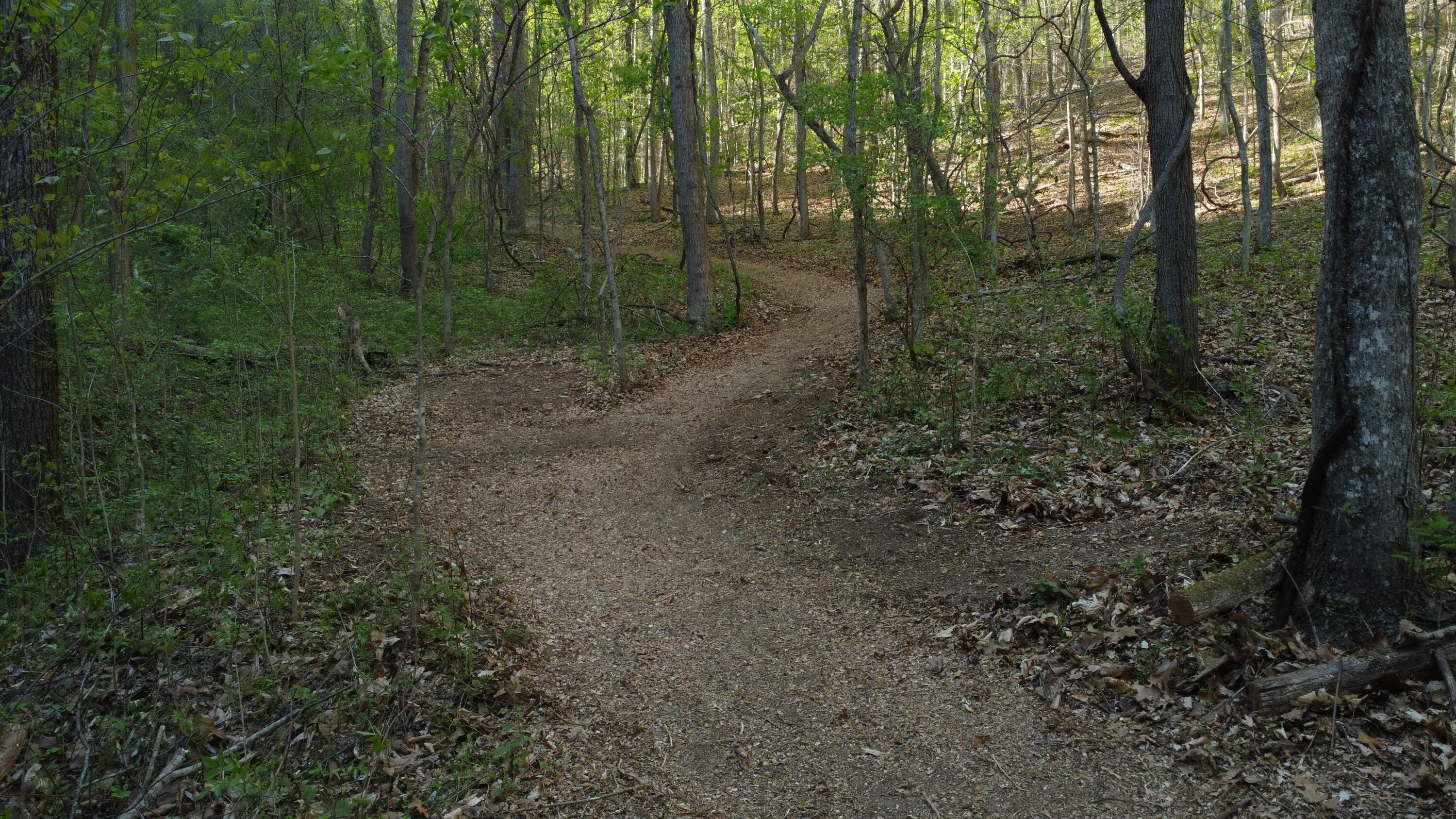 0 Georges Run Road Shawsville, VA 24162 - Photo 8 of 20 DJI_0792
