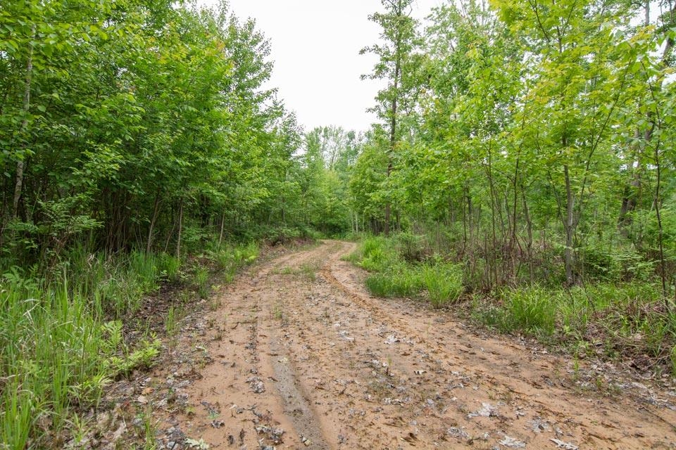 10828 North Chippewa Road Coleman, MI 48618 - Photo 26 of 28 1900865-25.JPG