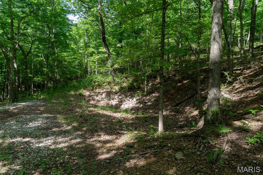 0 High Street Pacific, MO 63069 - Photo 16 of 25