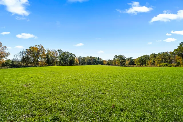 a view of outdoor space yard and patio