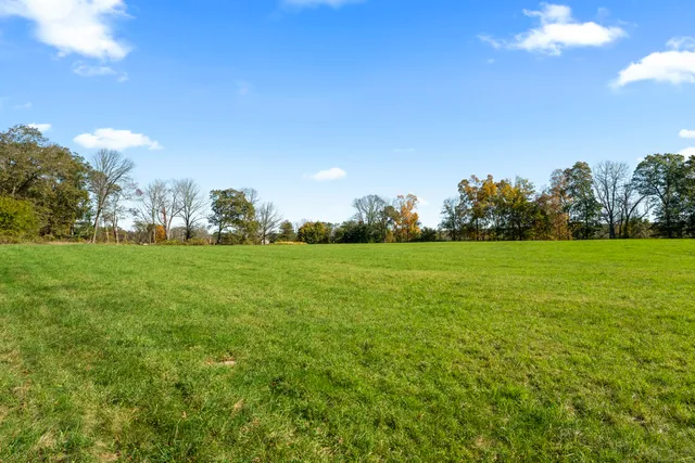 a view of yard with swimming pool and green space
