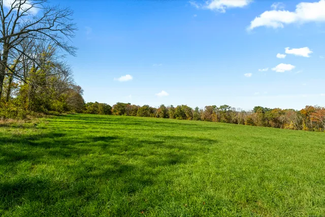 a view of a green field with clear sky