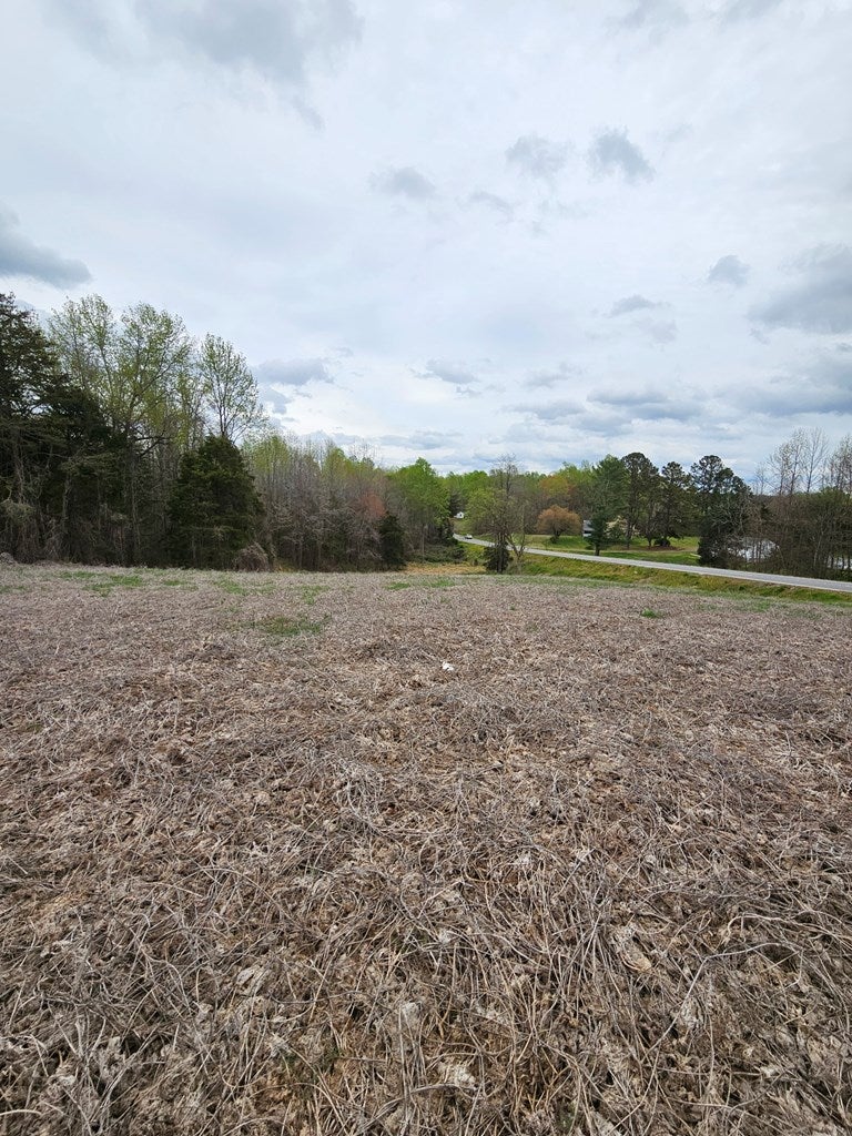 307 10 Holly Farms Road Rice, VA 23966 - Photo 3 of 27 Gallery Image 3