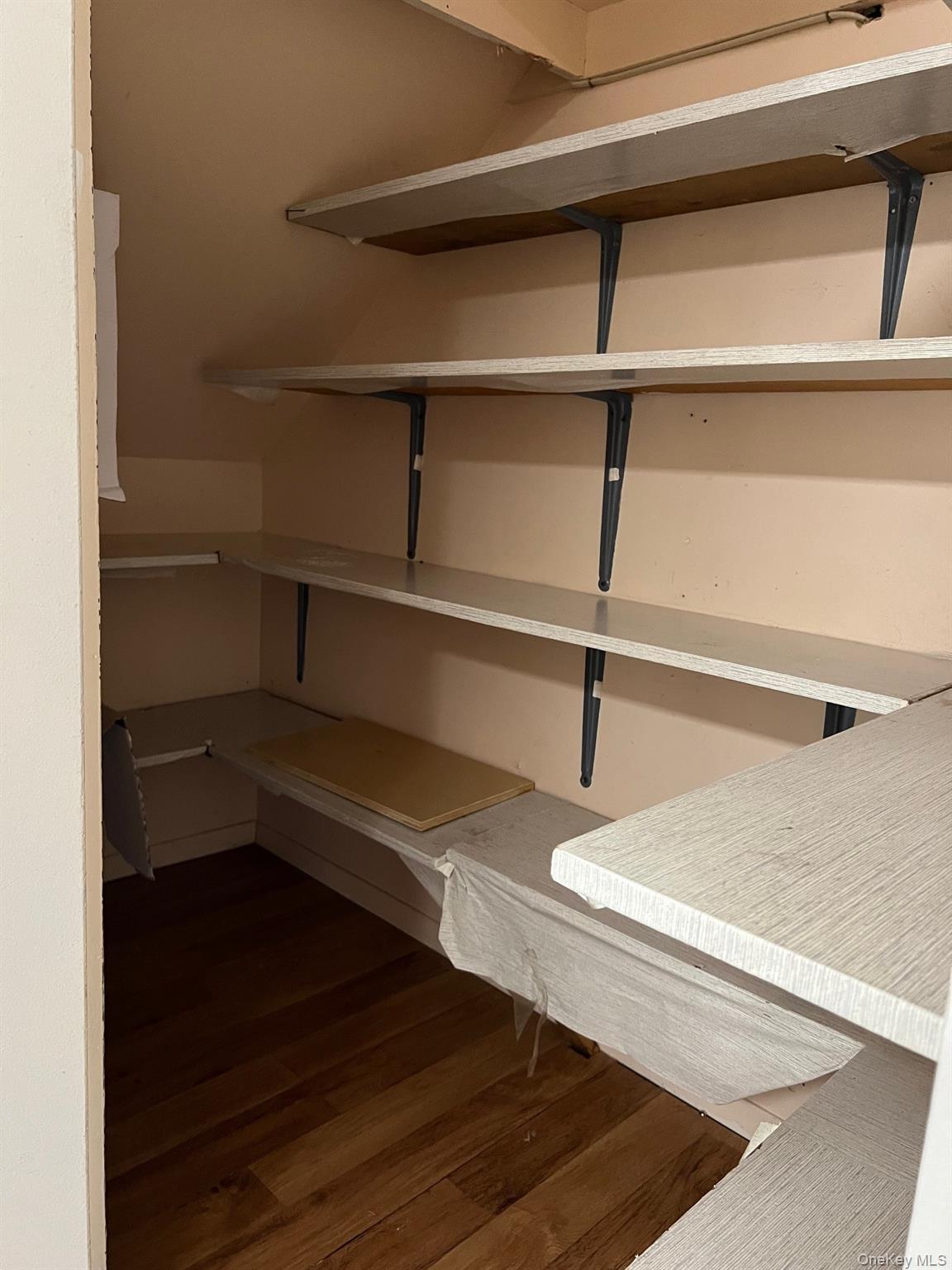 1006 Holly Walk Poughkeepsie, NY 12603 - Photo 14 of 18 View of pantry under stairs