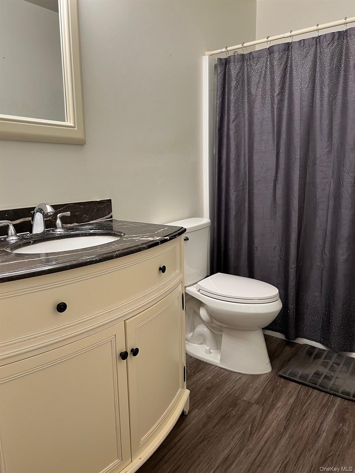 1006 Holly Walk Poughkeepsie, NY 12603 - Photo 15 of 18 Bathroom with vanity, dark wood-style flooring, and curtained shower