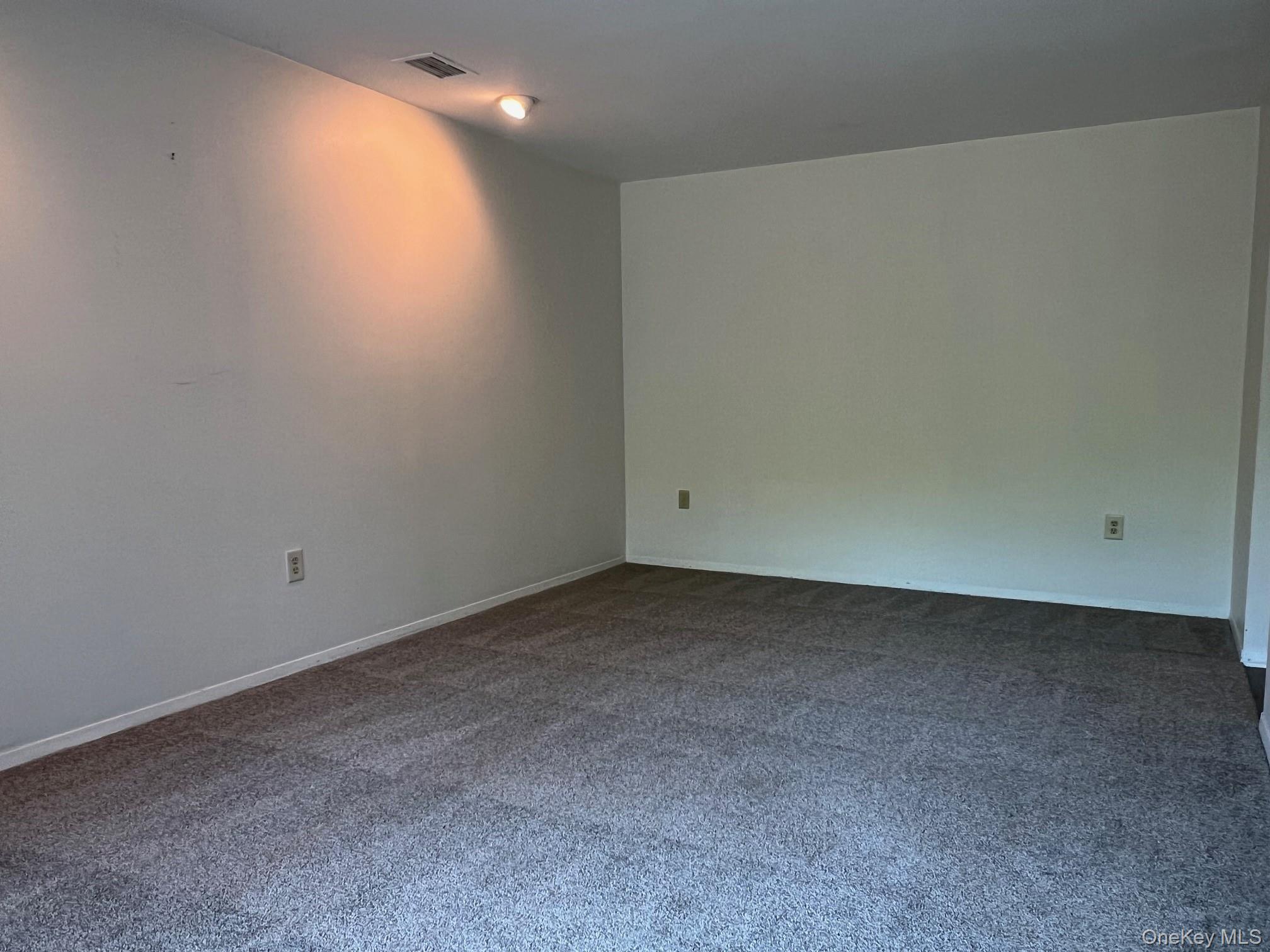 1006 Holly Walk Poughkeepsie, NY 12603 - Photo 9 of 18 Carpeted empty room featuring baseboards