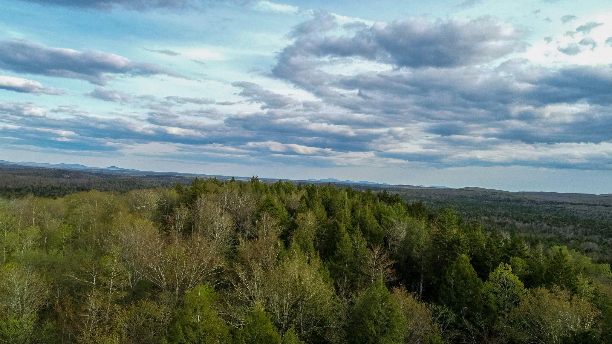 1509 Otis Road Ellsworth, ME 04605 - Photo 9 of 26 DJI_0026-2