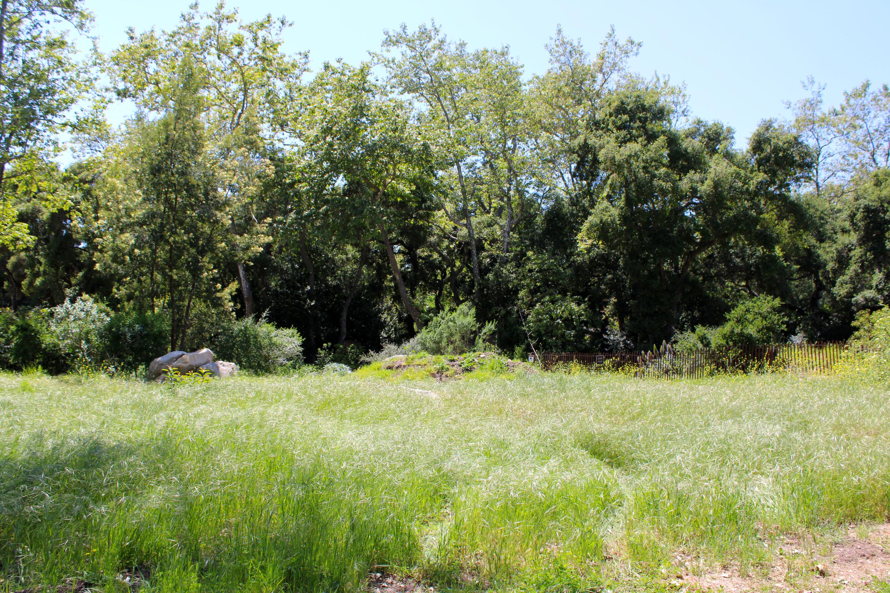 809 Ashley Road Montecito, CA 93108 - Photo 11 of 14 IMG_2428