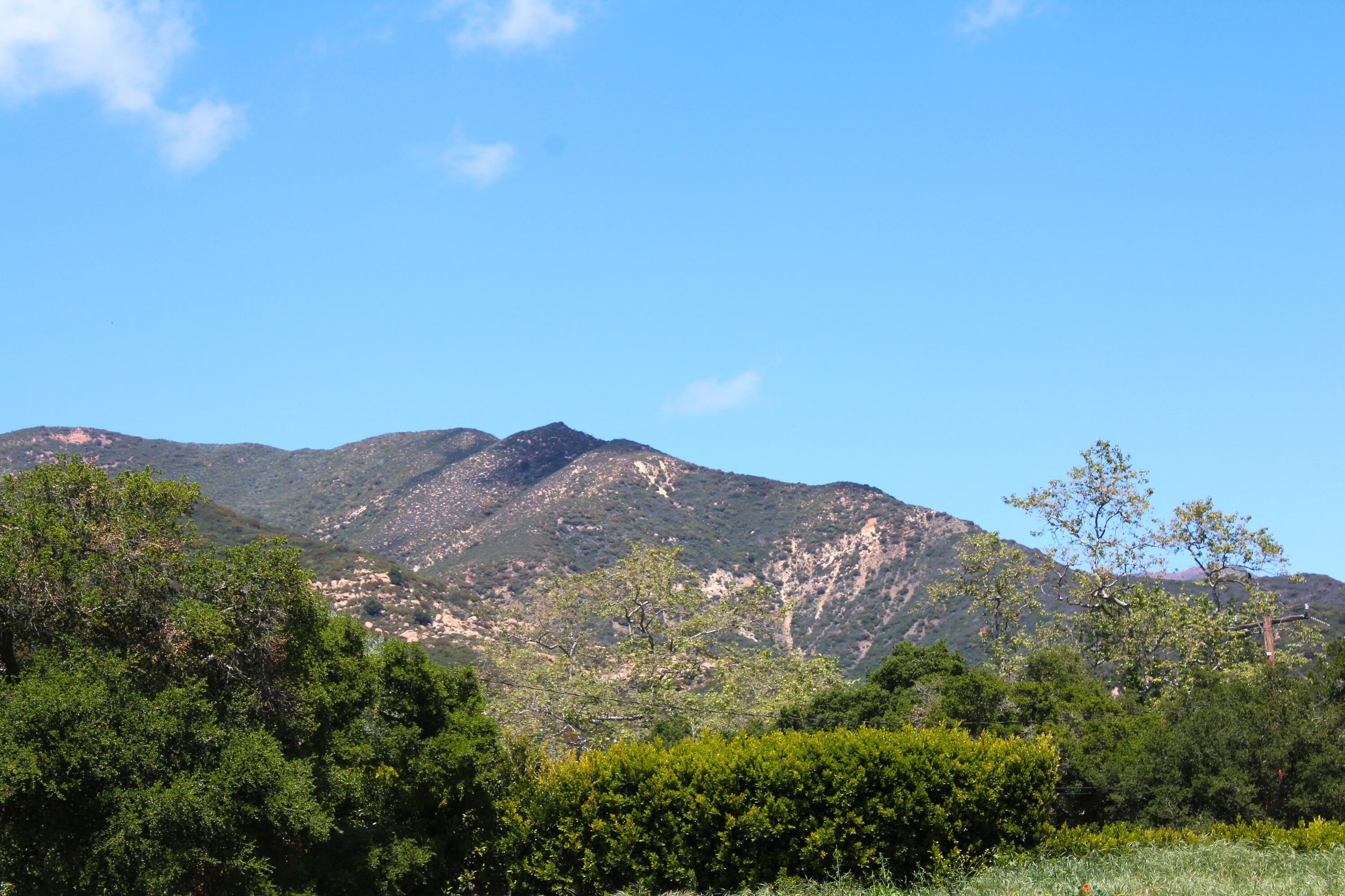 809 Ashley Road Montecito, CA 93108 - Photo 4 of 14 IMG_2418