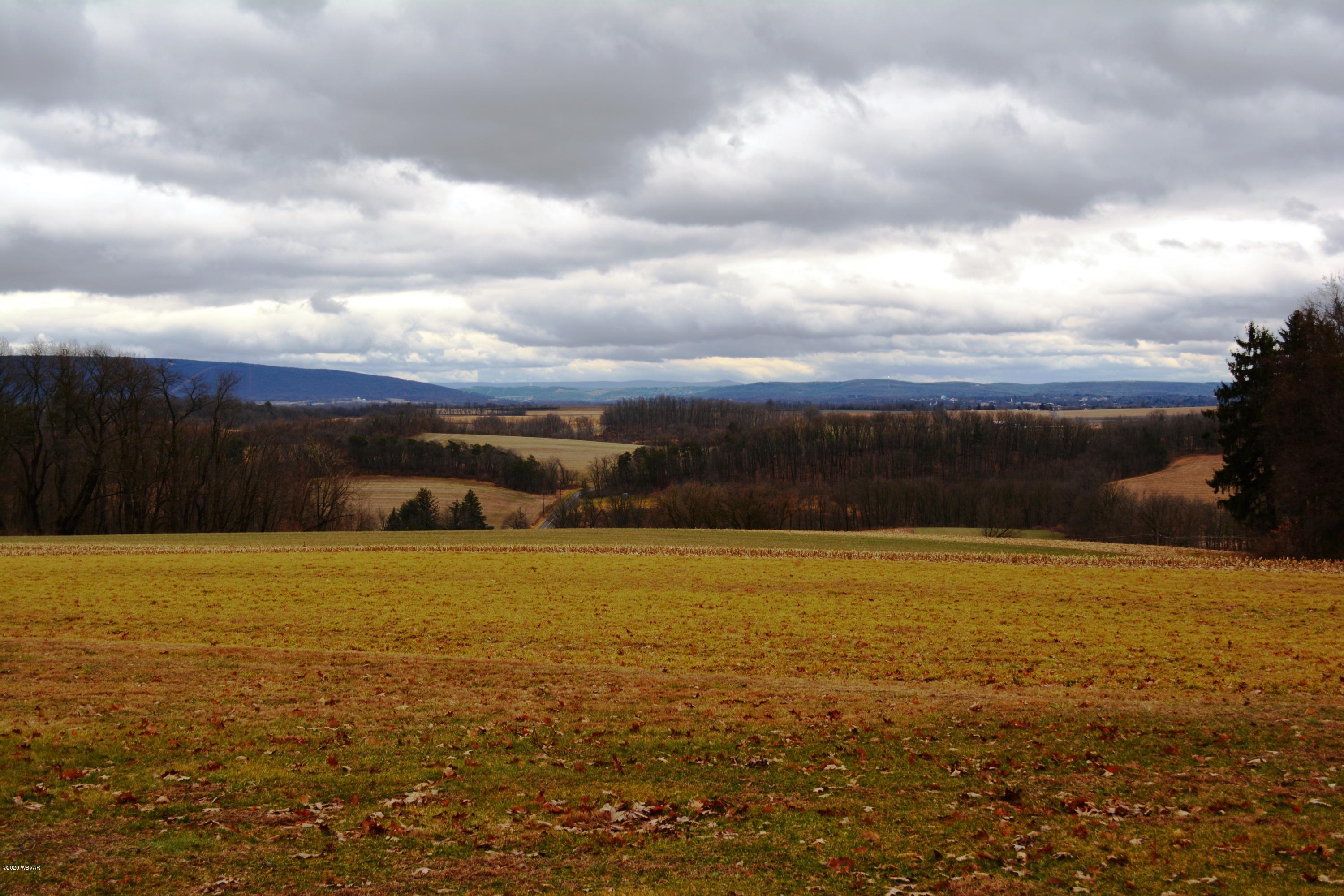 1215 Pleasant View Road New Columbia, PA 17856 - Photo 22 of 60 DSC_0397