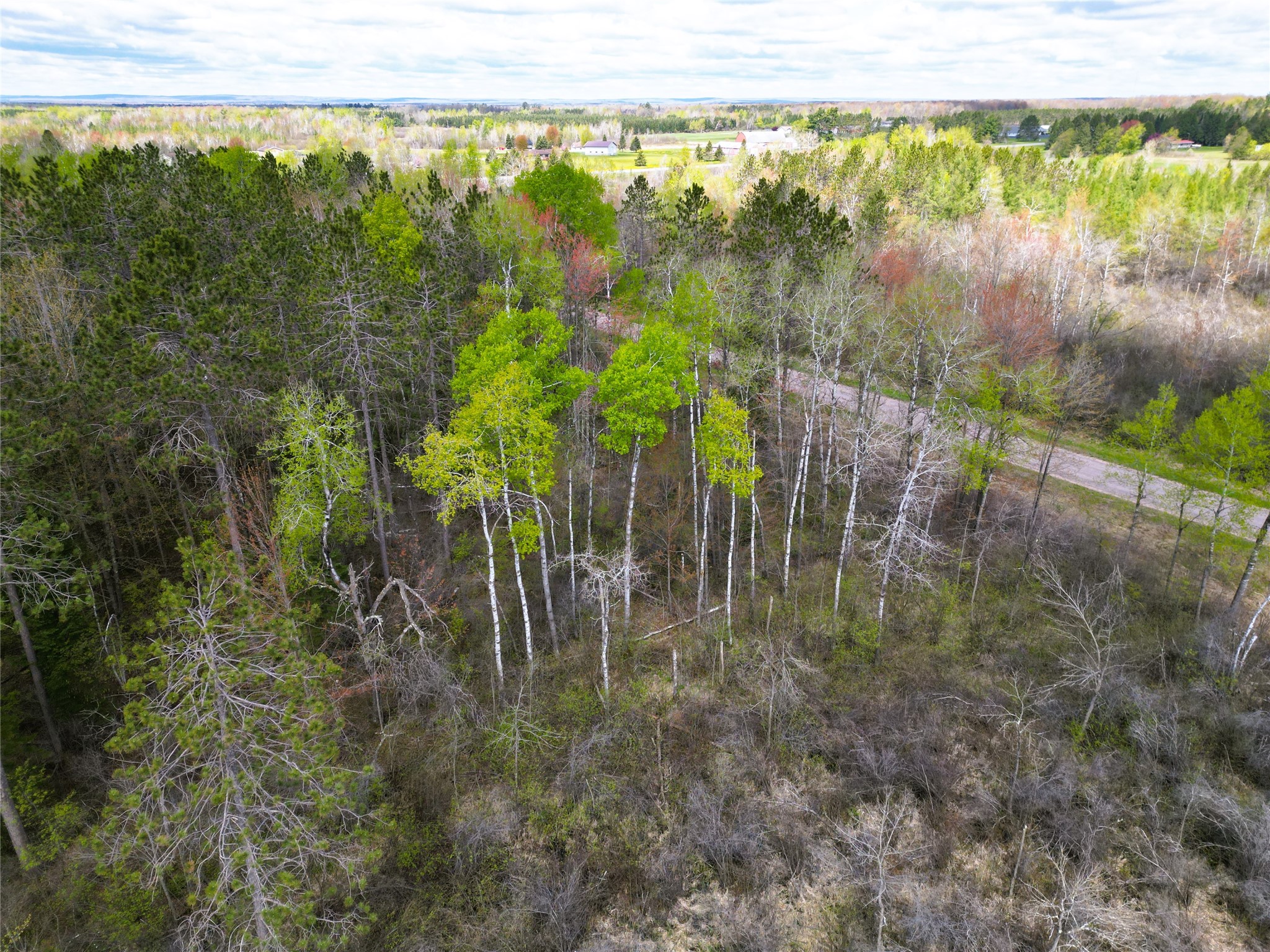 36.5-acres East Cedarbrook Road Ladysmith, WI 54848 - Photo 9 of 18