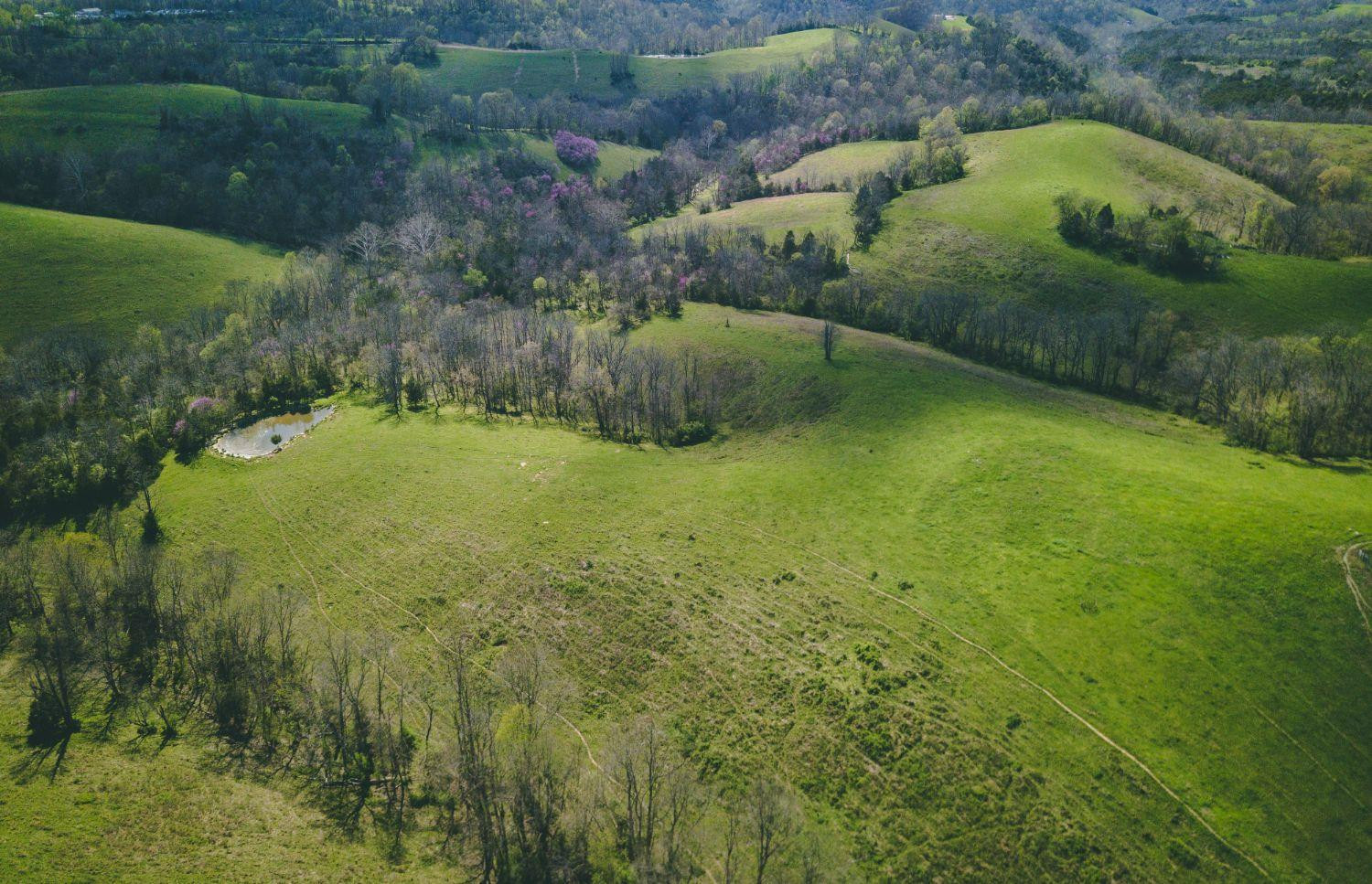 8241 Buckeye Road Lancaster, KY 40444 - Photo 6 of 69 Photo 6
