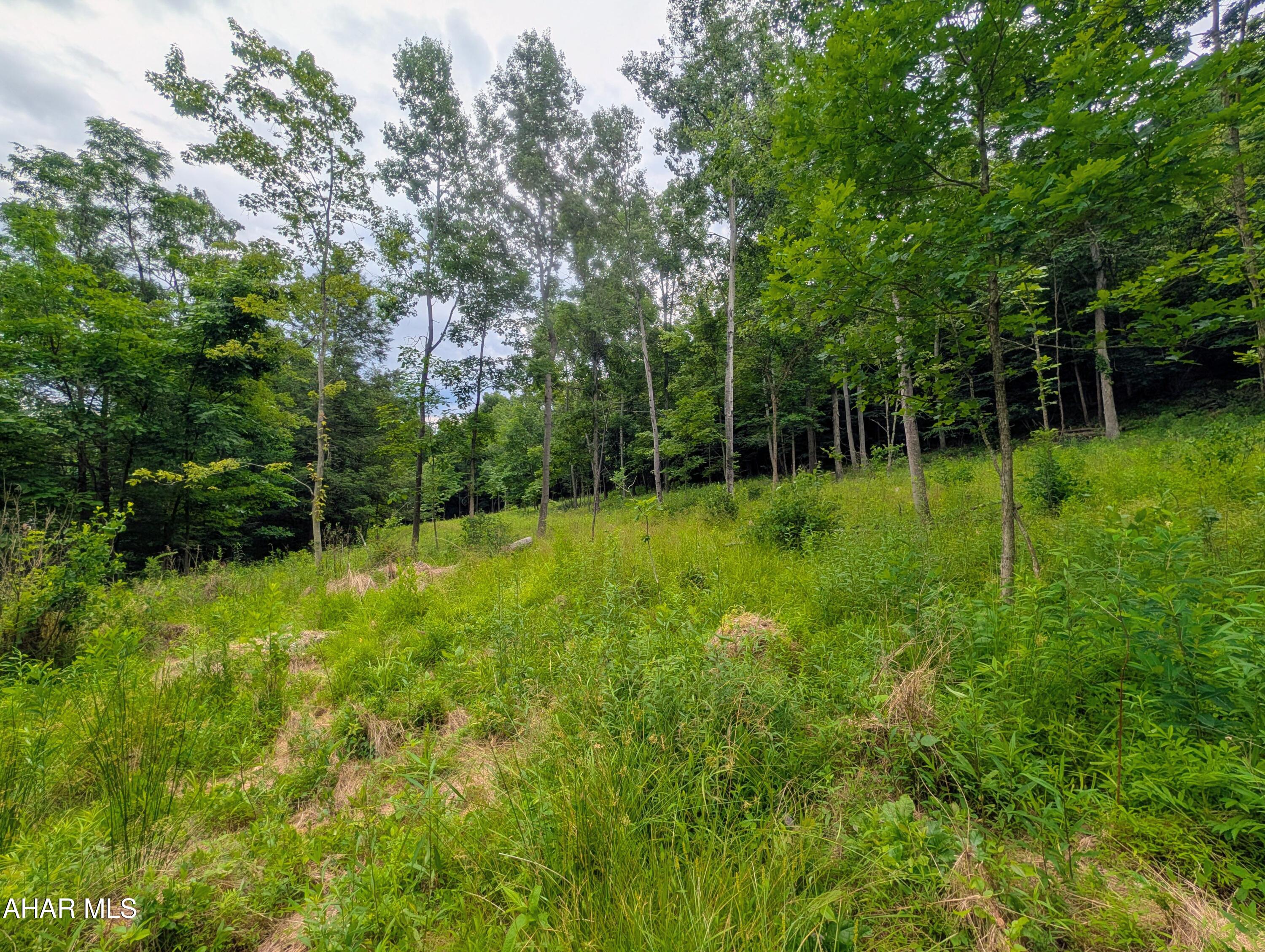 587 Point Road Bedford, PA 15522 - Photo 86 of 92