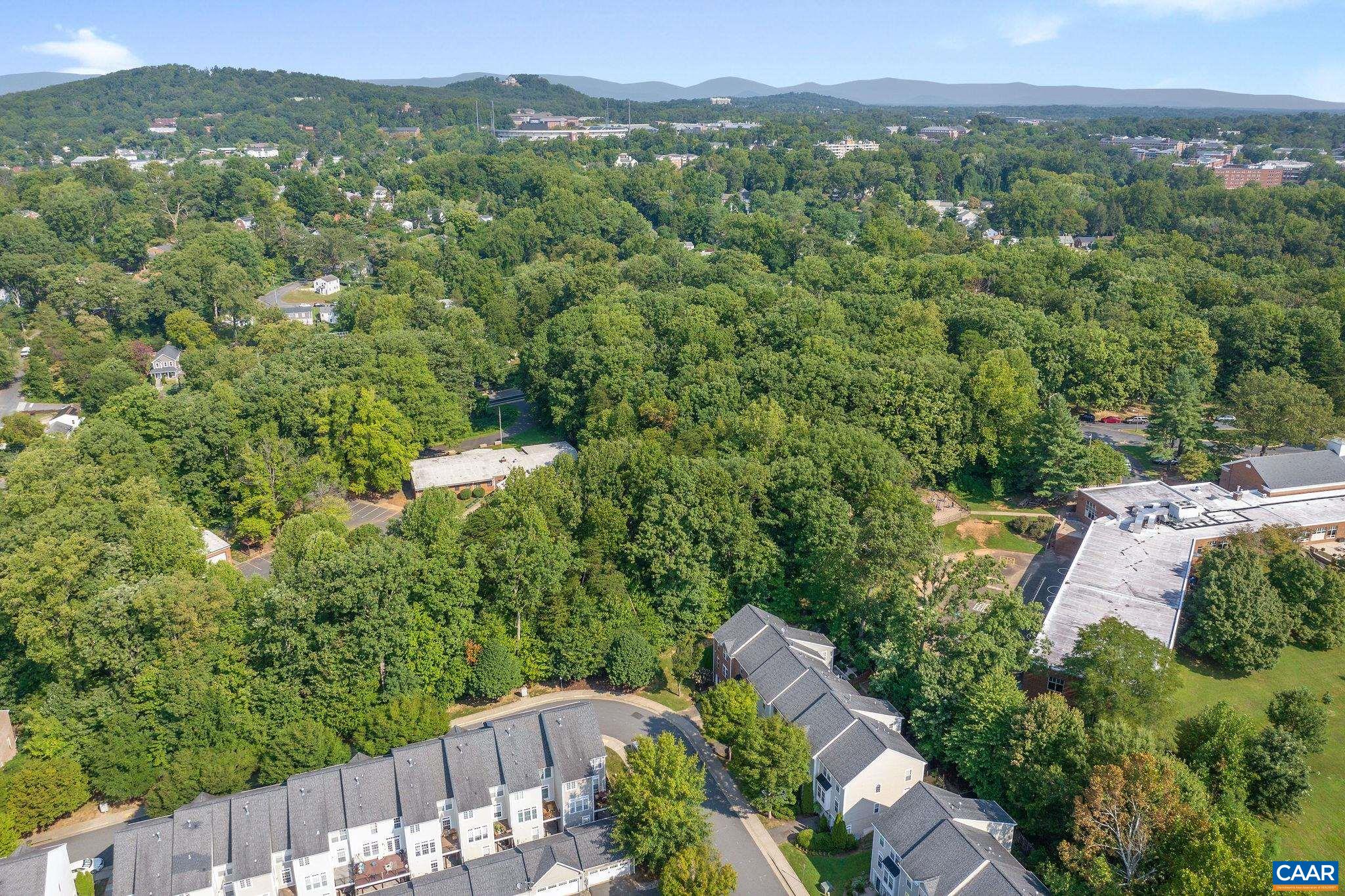 843 Rainier Road Charlottesville, VA 22903 - Photo 34 of 41 a view of a city with lush green forest